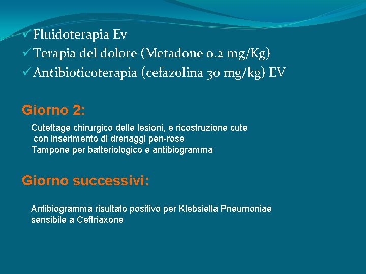 ü Fluidoterapia Ev ü Terapia del dolore (Metadone 0. 2 mg/Kg) ü Antibioticoterapia (cefazolina