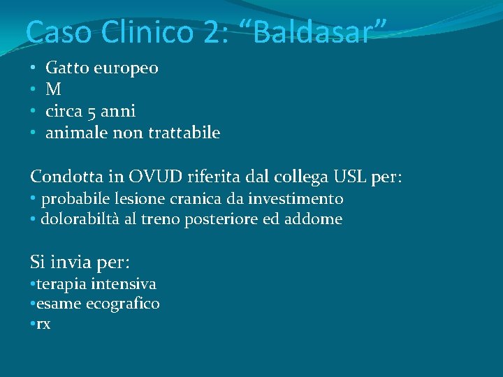 Caso Clinico 2: “Baldasar” • • Gatto europeo M circa 5 anni animale non