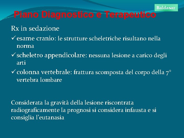 Piano Diagnostico e Terapeutico Baldasar Rx in sedazione ü esame cranio: le strutture scheletriche