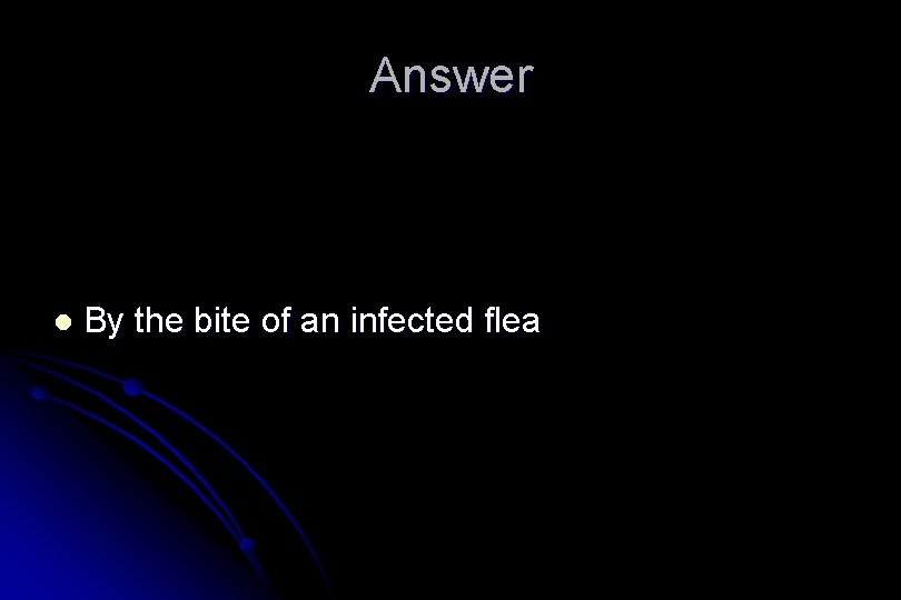 Answer l By the bite of an infected flea 