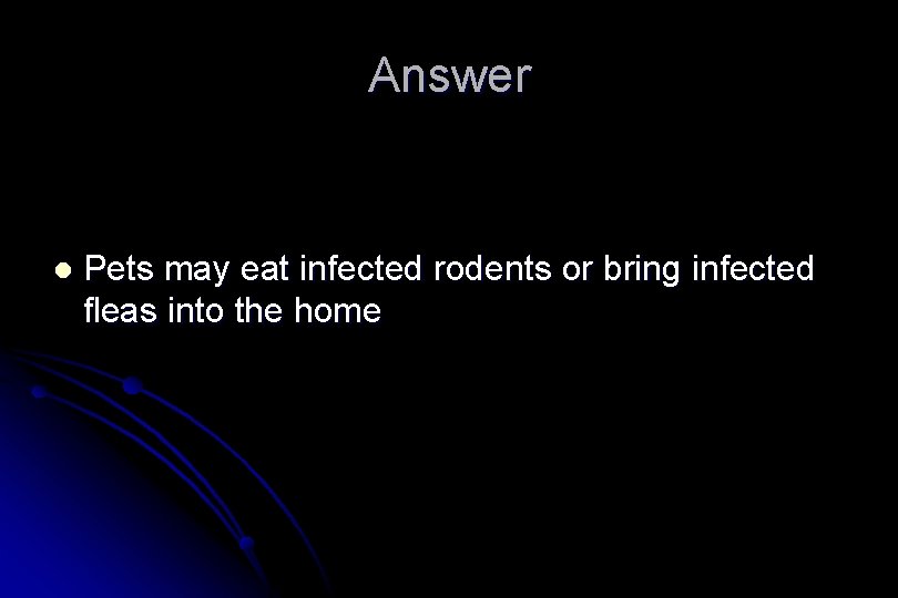 Answer l Pets may eat infected rodents or bring infected fleas into the home