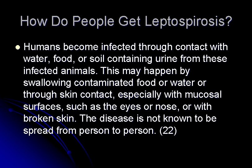 How Do People Get Leptospirosis? l Humans become infected through contact with water, food,