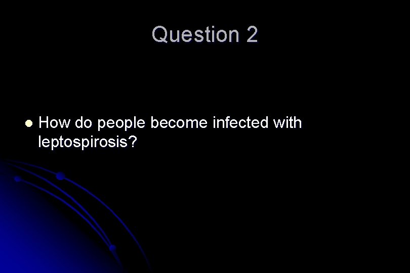 Question 2 l How do people become infected with leptospirosis? 