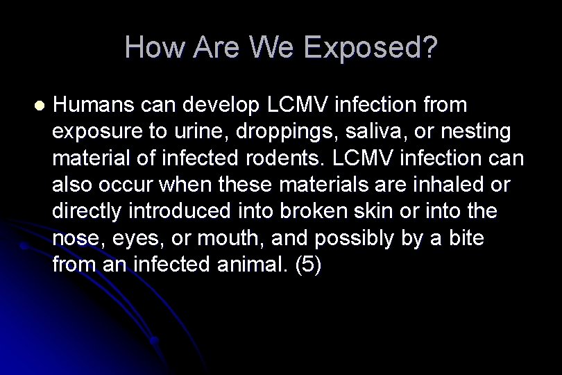 How Are We Exposed? l Humans can develop LCMV infection from exposure to urine,