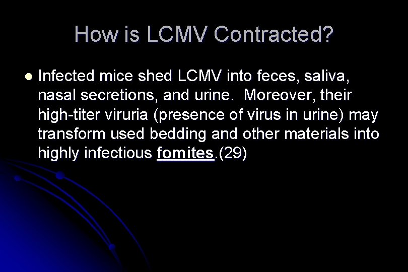 How is LCMV Contracted? l Infected mice shed LCMV into feces, saliva, nasal secretions,