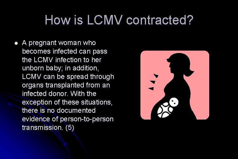 How is LCMV contracted? l A pregnant woman who becomes infected can pass the