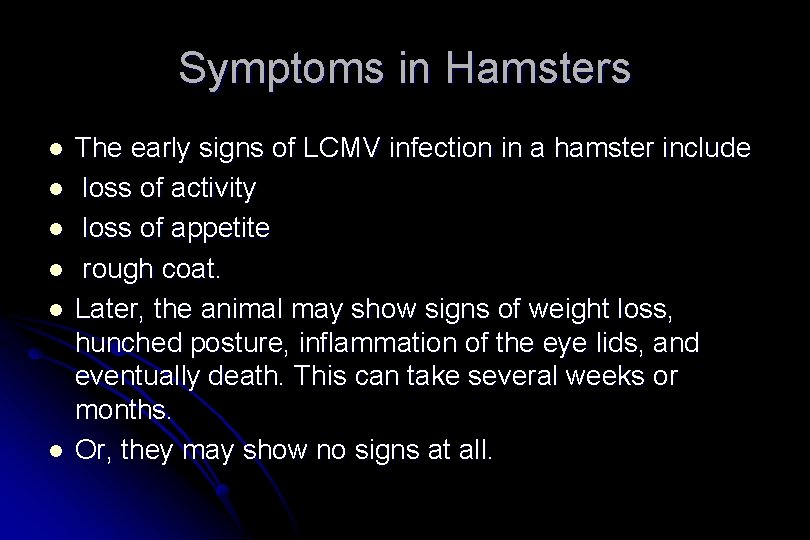 Symptoms in Hamsters l l l The early signs of LCMV infection in a