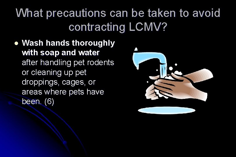 What precautions can be taken to avoid contracting LCMV? l Wash hands thoroughly with