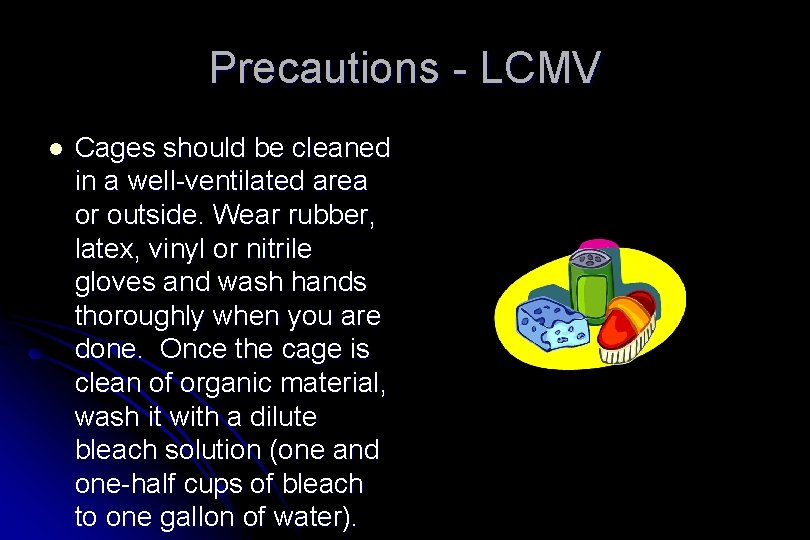 Precautions - LCMV l Cages should be cleaned in a well-ventilated area or outside.