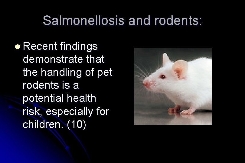 Salmonellosis and rodents: l Recent findings demonstrate that the handling of pet rodents is