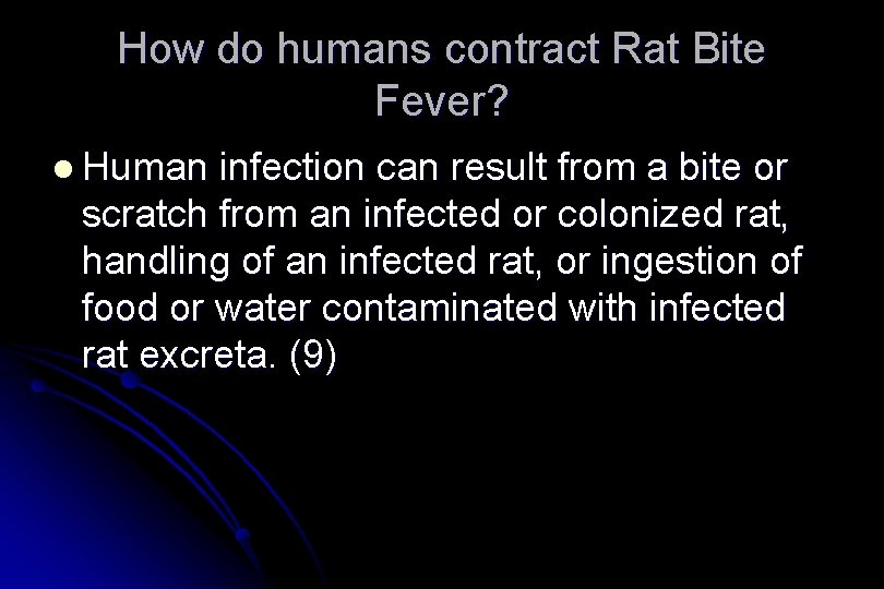 How do humans contract Rat Bite Fever? l Human infection can result from a