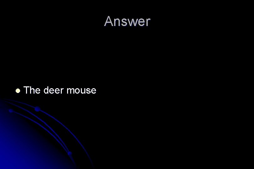 Answer l The deer mouse 
