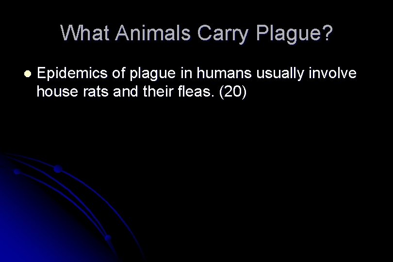 What Animals Carry Plague? l Epidemics of plague in humans usually involve house rats