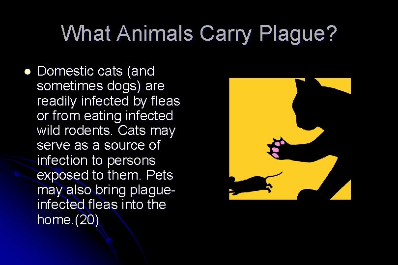 What Animals Carry Plague? l Domestic cats (and sometimes dogs) are readily infected by