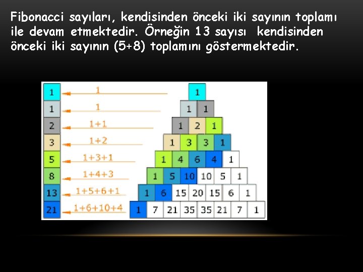Fibonacci sayıları, kendisinden önceki iki sayının toplamı ile devam etmektedir. Örneğin 13 sayısı kendisinden