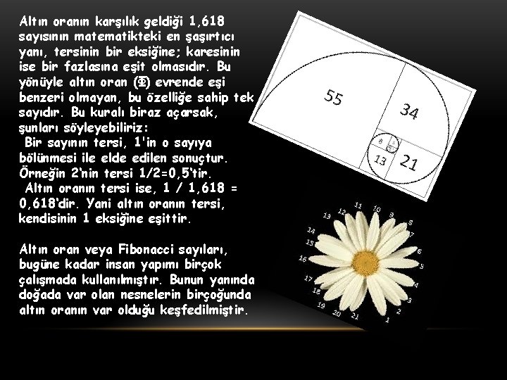 Altın oranın karşılık geldiği 1, 618 sayısının matematikteki en şaşırtıcı yanı, tersinin bir eksiğine;