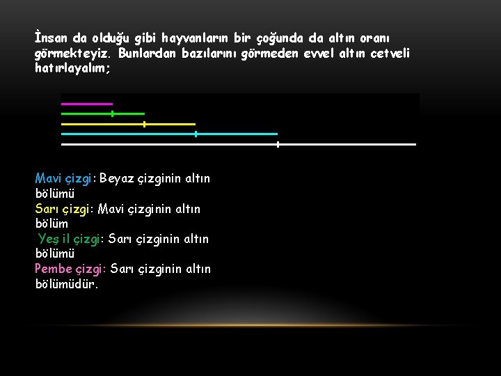 İnsan da olduğu gibi hayvanların bir çoğunda da altın oranı görmekteyiz. Bunlardan bazılarını görmeden