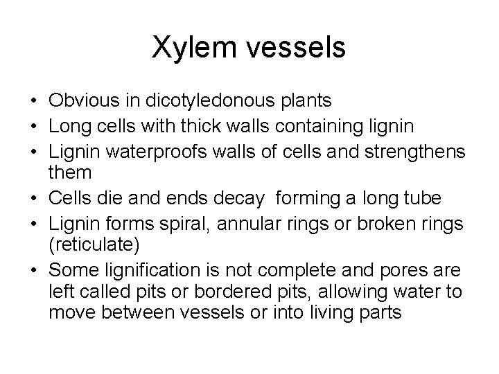 Xylem vessels • Obvious in dicotyledonous plants • Long cells with thick walls containing