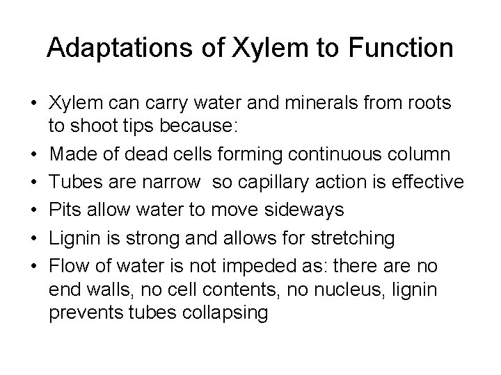 Adaptations of Xylem to Function • Xylem can carry water and minerals from roots