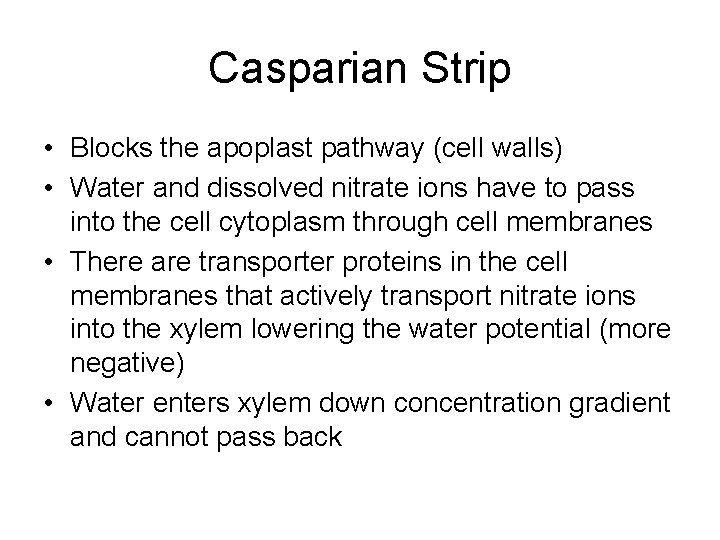 Casparian Strip • Blocks the apoplast pathway (cell walls) • Water and dissolved nitrate