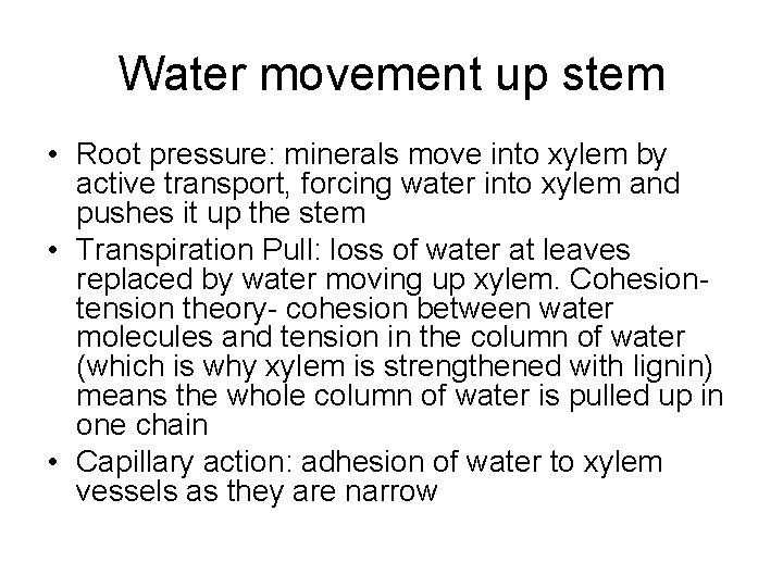 Water movement up stem • Root pressure: minerals move into xylem by active transport,