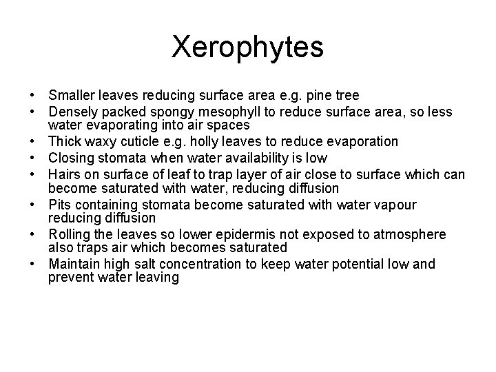 Xerophytes • Smaller leaves reducing surface area e. g. pine tree • Densely packed