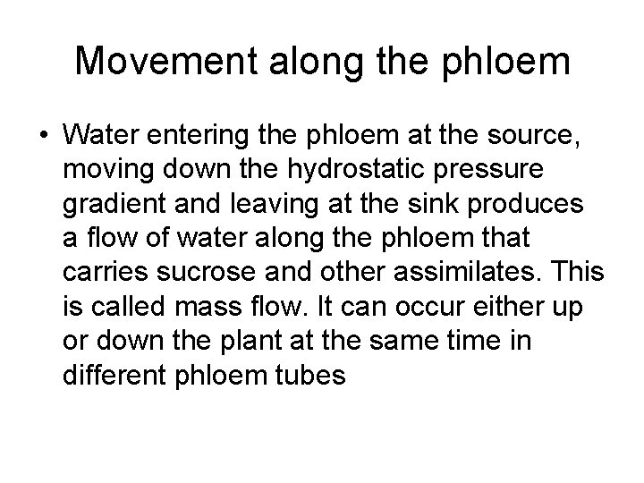 Movement along the phloem • Water entering the phloem at the source, moving down