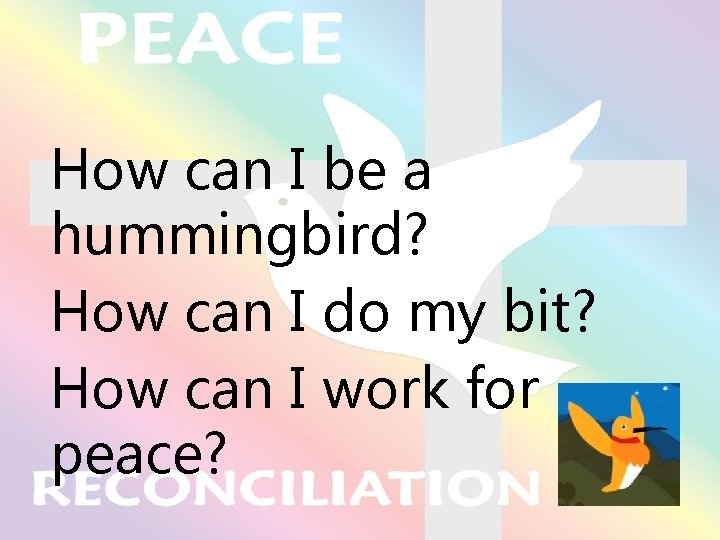 How can I be a hummingbird? How can I do my bit? How can