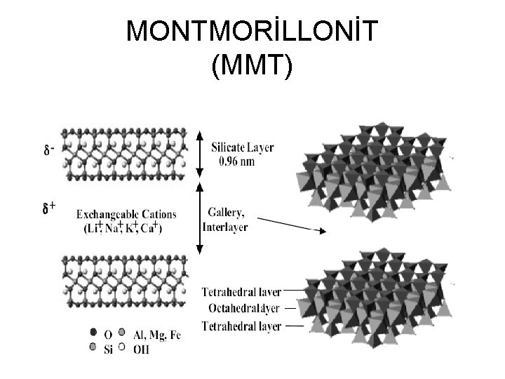 MONTMORİLLONİT (MMT) 