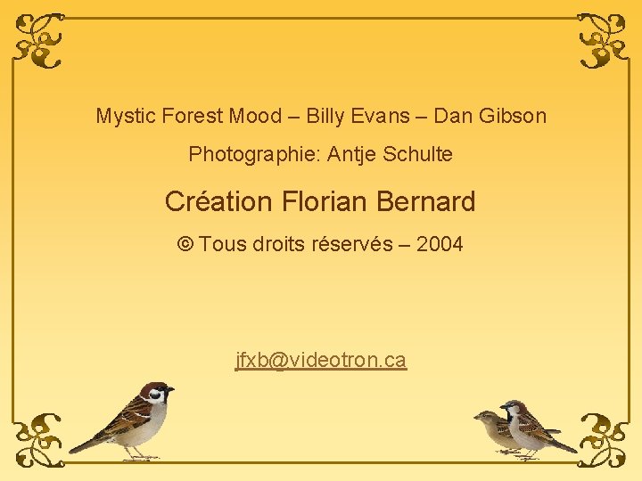 Mystic Forest Mood – Billy Evans – Dan Gibson Photographie: Antje Schulte Création Florian