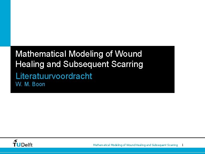 Mathematical Modeling of Wound Healing and Subsequent Scarring Literatuurvoordracht W. M. Boon Mathematical Modeling