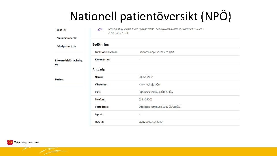 Nationell patientöversikt (NPÖ) 