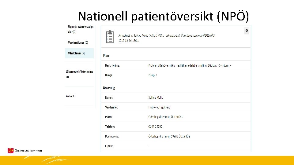 Nationell patientöversikt (NPÖ) 