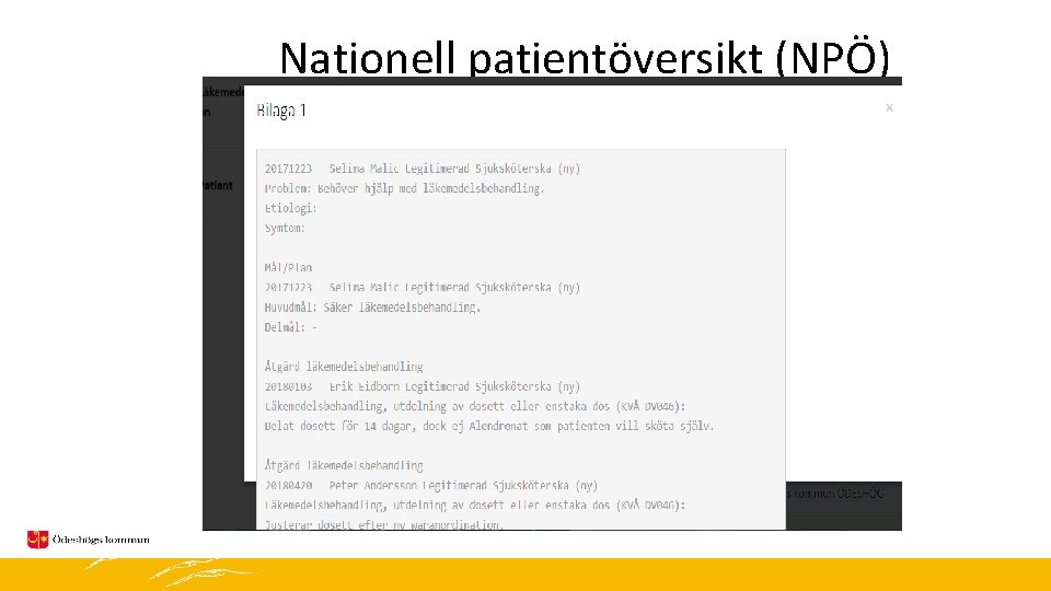 Nationell patientöversikt (NPÖ) 