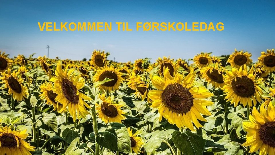 VELKOMMEN TIL FØRSKOLEDAG 