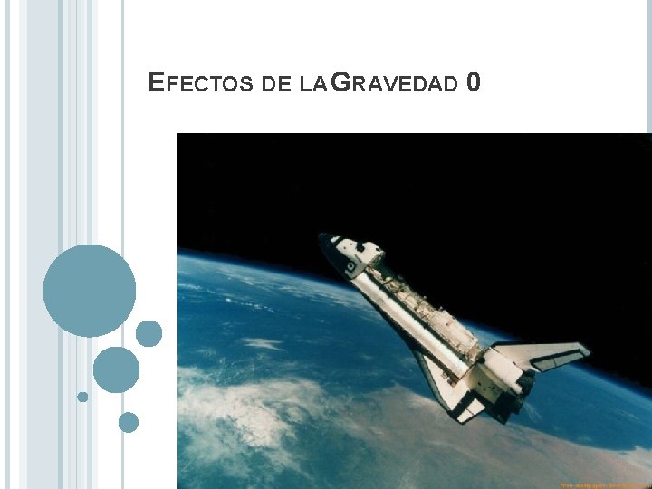 EFECTOS DE LA GRAVEDAD 0 