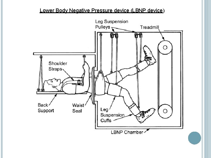 Lower Body Negative Pressure device (LBNP device) 