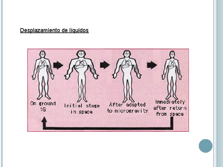 Desplazamiento de líquidos 