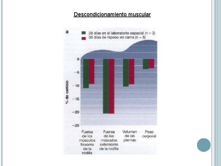 Descondicionamiento muscular 