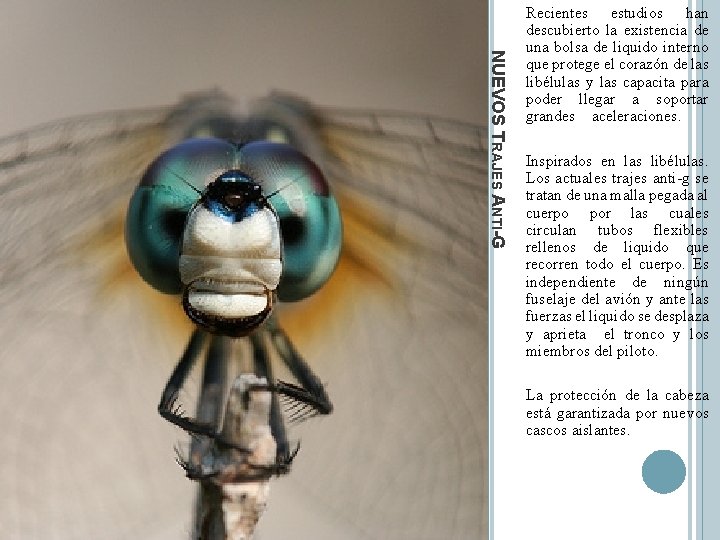 NUEVOS TRAJES ANTI-G Recientes estudios han descubierto la existencia de una bolsa de liquido