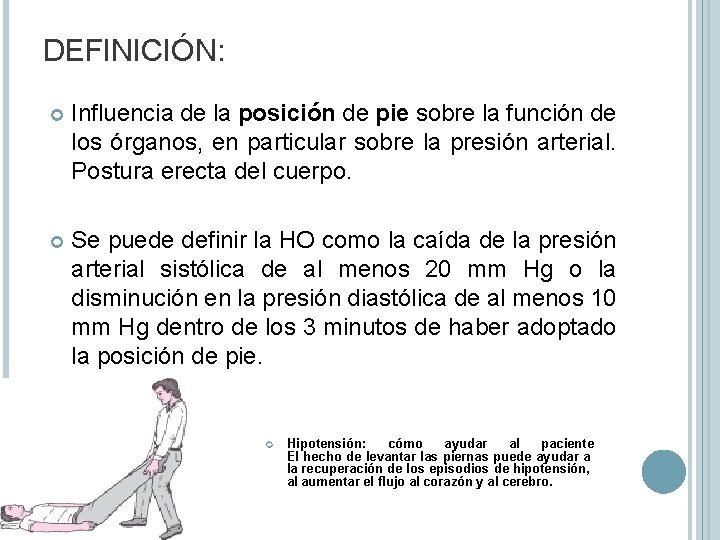 DEFINICIÓN: Influencia de la posición de pie sobre la función de los órganos, en