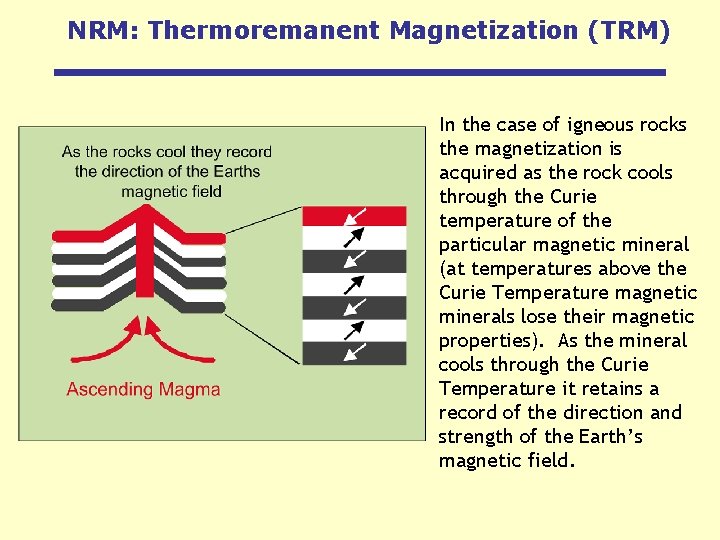NRM: Thermoremanent Magnetization (TRM) In the case of igneous rocks the magnetization is acquired