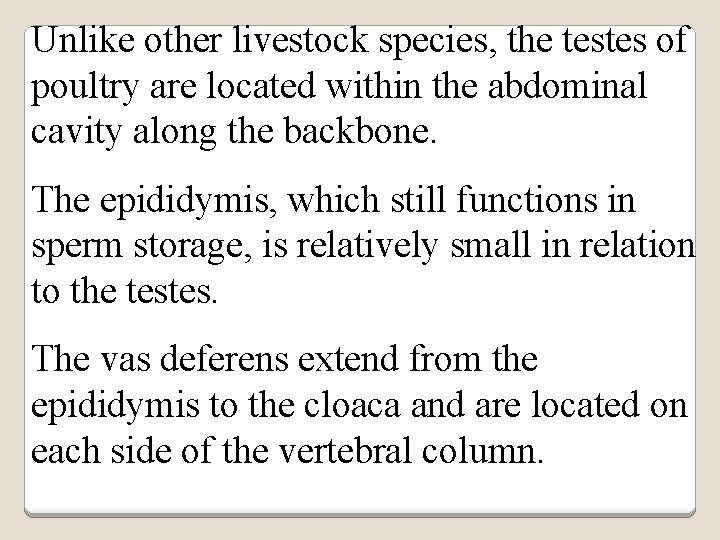 Unlike other livestock species, the testes of poultry are located within the abdominal cavity
