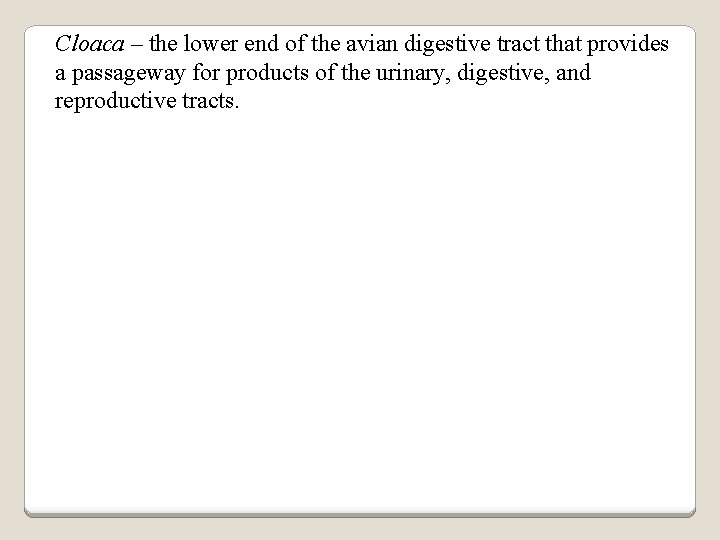 Cloaca – the lower end of the avian digestive tract that provides a passageway