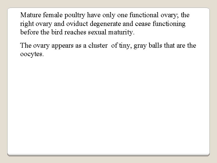 Mature female poultry have only one functional ovary; the right ovary and oviduct degenerate