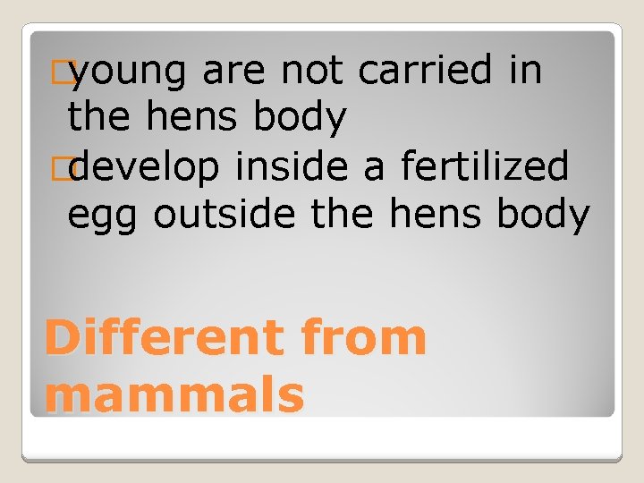 �young are not carried in the hens body �develop inside a fertilized egg outside