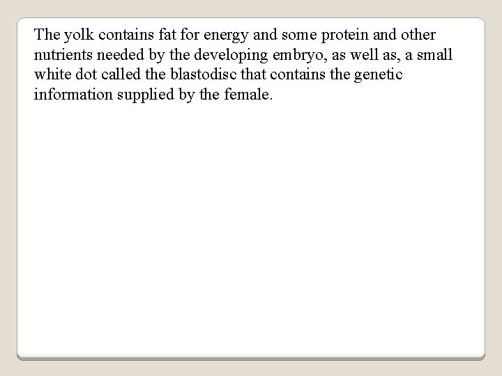 The yolk contains fat for energy and some protein and other nutrients needed by