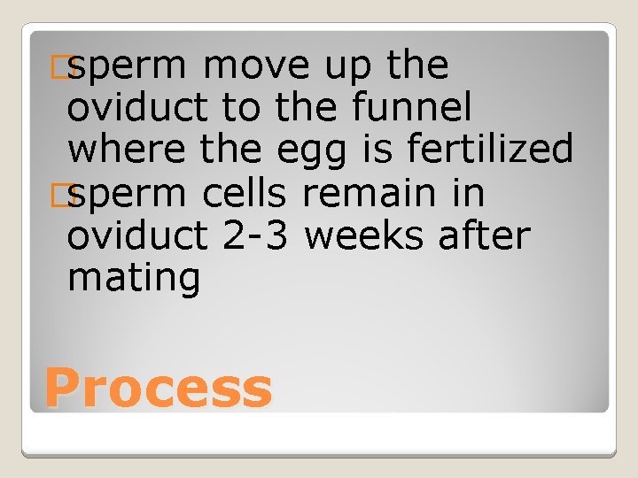 �sperm move up the oviduct to the funnel where the egg is fertilized �sperm