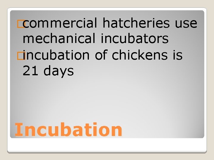�commercial hatcheries use mechanical incubators �incubation of chickens is 21 days Incubation 