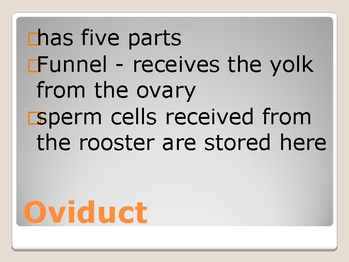 �has five parts �Funnel - receives the yolk from the ovary �sperm cells received